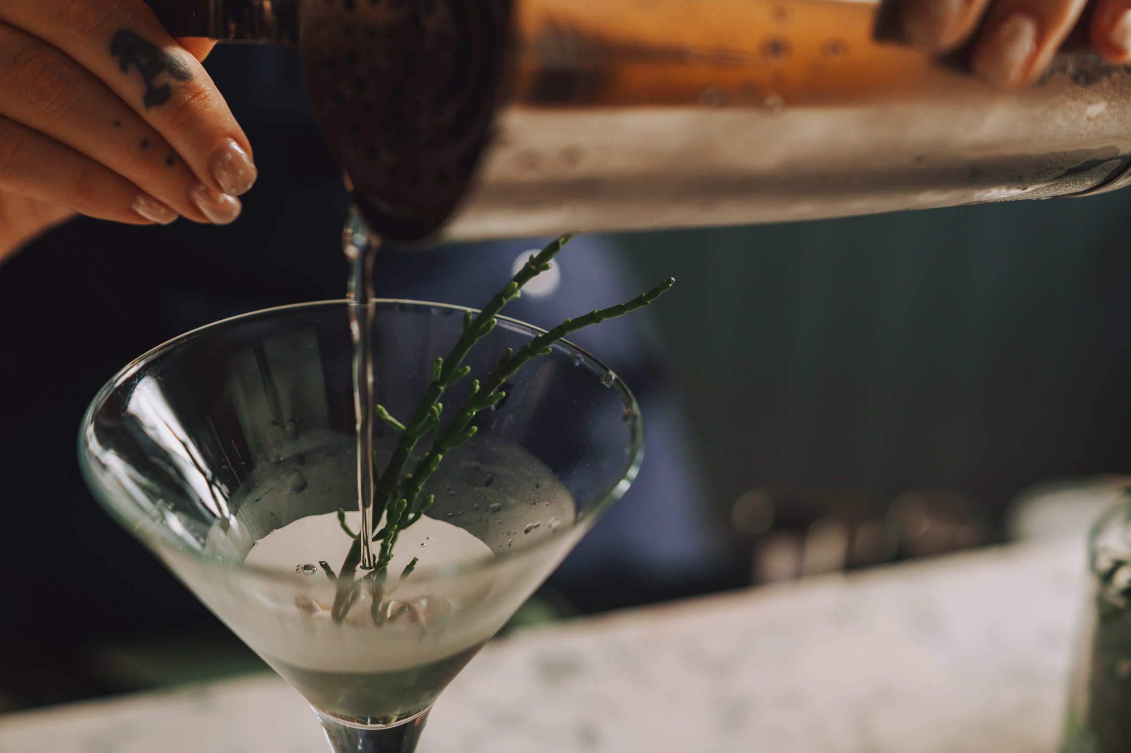 OQH SAMPHIRE DRINK 7932 LRJ 2